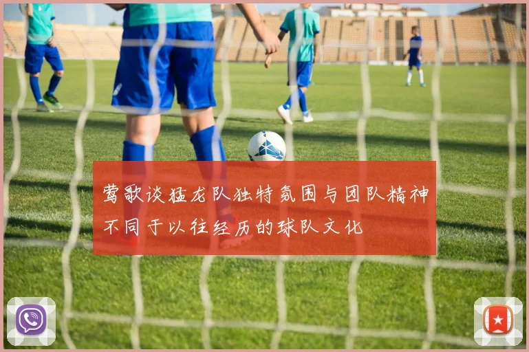 莺歌谈猛龙队独特氛围与团队精神不同于以往经历的球队文化