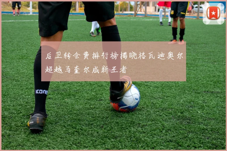 后卫转会费排行榜揭晓格瓦迪奥尔超越马奎尔成新王者
