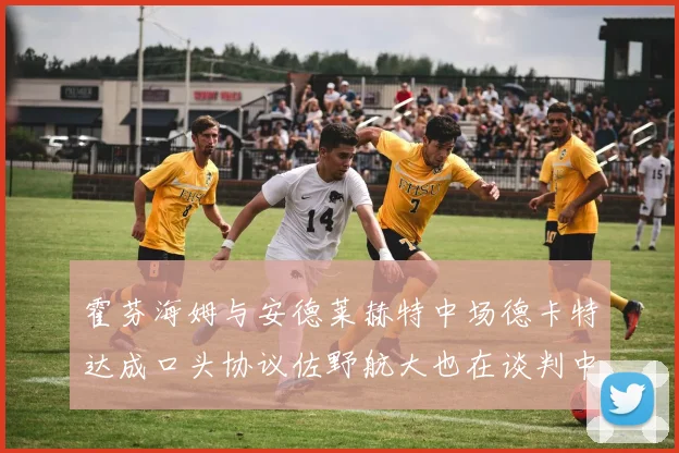 霍芬海姆与安德莱赫特中场德卡特达成口头协议佐野航大也在谈判中